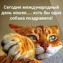 ���� �������, ������, 48 ��� - ��������� 8 ������� 2023 � ������ ������