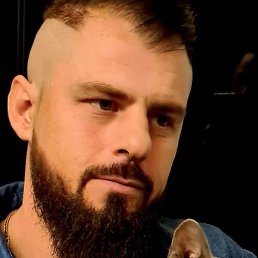 �����, ���������, 41 ���