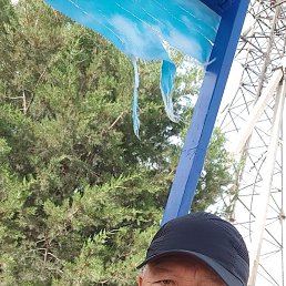 �����, �����, 42 ����