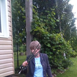 ����, ������� ��������, 67 ���