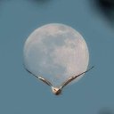 ���� Sad, �����, 46 ��� - ��������� 21 �������� 2023 � ������ ���� ����������