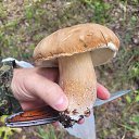 ���� ������, ������ - ��������� 23 ���� 2023 � ������ ������