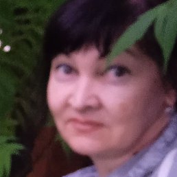 ����, ����, 56 ���