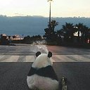 ���� ������, �������, 31 ��� - ��������� 26 �������� 2023 � ������ ���� ����������