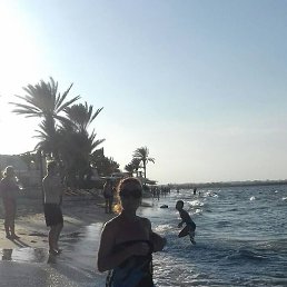 �����, ��������, 53 ����