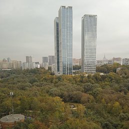 �����, ������, 46 ���