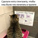 ���� �����, ����, 85 ��� - ��������� 4 ������� 2023