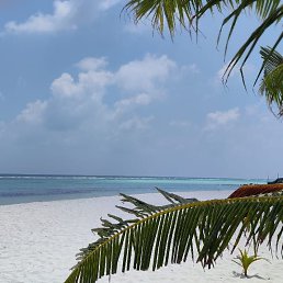 ���� � ����, ������, 36 ��� - ��������� 3 ����� 2023