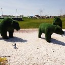 ���� ������, ����� �����, 55 ��� - ��������� 27 ������ 2023 � ������ ���� ����������