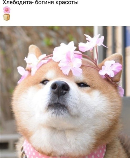Ÿ     