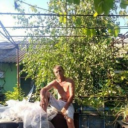 �������, ����������, 50 ���