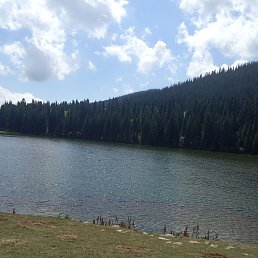 �������, ����, 35 ���