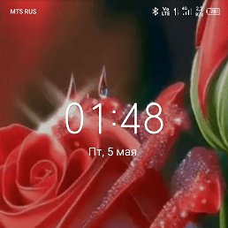 ���� ��������, ������, 52 ���� - ��������� 8 ��� 2023