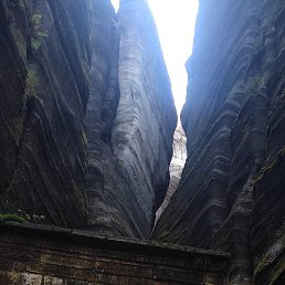 ���������, �����, 33 ����