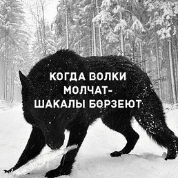 ������, ���������, 55 ���