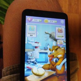 ���, ������ ��������, 42 ����