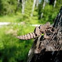 ���� Michail, ������, 42 ���� - ��������� 7 ������� 2023 � ������ ���� ����������