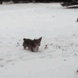 ��, ������, 27 ���