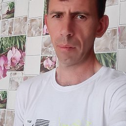 ���� ������, ���������, 40 ��� - ��������� 14 ���� 2023