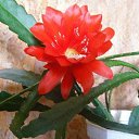 ���� ������, ������, 67 ��� - ��������� 2 ������� 2023 � ������ ���� ����������