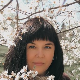 ���� ������, ���������, 51 ��� - ��������� 18 ��� 2023