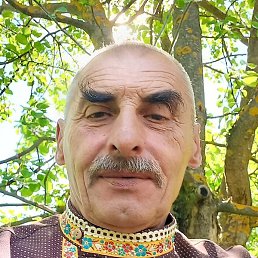 ���������, ��������, 66 ���