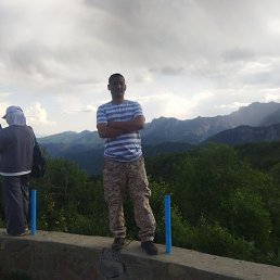 �����, ������, 41 ���