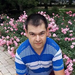 �����, ������-�������� �������, 43 ����