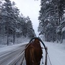 ���� �������, �����, 50 ��� - ��������� 1 ��� 2023