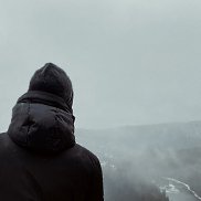 , 29 , 