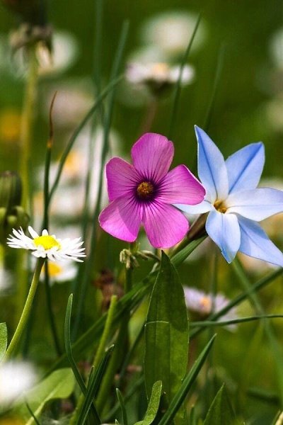 ������ � ��� ������� ������. � ������. ������� ������� ���� ���������� � ������ ���� �� ����... ... - 2