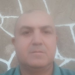 ����, ������, 49 ���