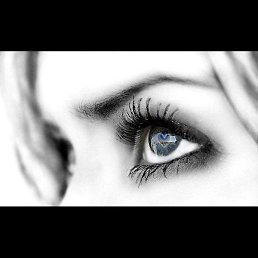 ���������, �����������, 39 ���