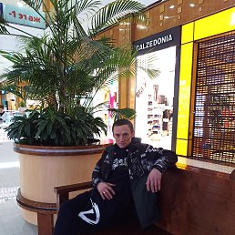 ���� ��������, ������, 44 ���� - ��������� 4 �������� 2023