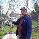 ���� ����, ���������, 41 ��� - ��������� 3 ��� 2023 � ������ ���� ����������