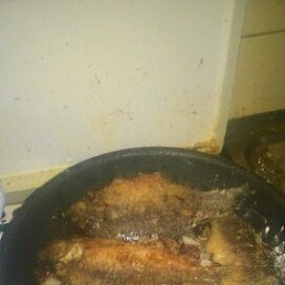 ���� C����, ������, 41 ��� - ��������� 12 ����� 2023