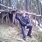 ���� �����, �����, 37 ��� - ��������� 17 �������� 2023