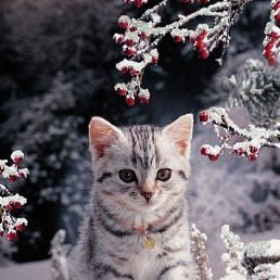 ���� ����, ������, 37 ��� - ��������� 17 ������� 2023