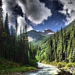 ���� Shohruh, ������, 27 ��� - ��������� 14 ���� 2023