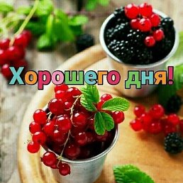 ���� ������., ���, 51 ��� - ��������� 11 ���� 2023