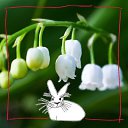 ���� ������, ���������, 68 ��� - ��������� 5 ��� 2023 � ������ ���� ����������