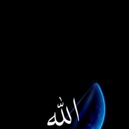 Bilolidin, ����, 37 ���