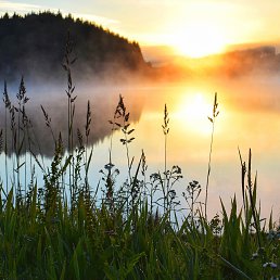 ���� �������, ������, 50 ��� - ��������� 10 �������� 2023