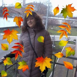 ����, ������, 55 ���