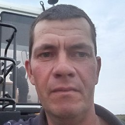 �����, ������, 41 ���