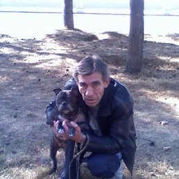 ��������, �����������, 67 ���