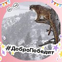 ���� ������, ��������, 59 ��� - ��������� 20 ����� 2023 � ������ ���� ����������