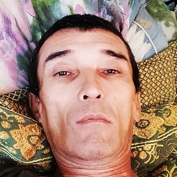 �����, ������, 37 ���