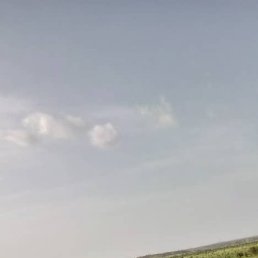 Modnji Lamine, �����������, 37 ���