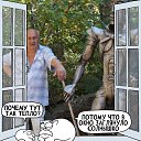 ���� ��������, ����, 71 ��� - ��������� 17 ��� 2023